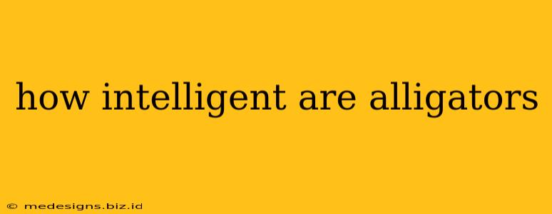 how intelligent are alligators