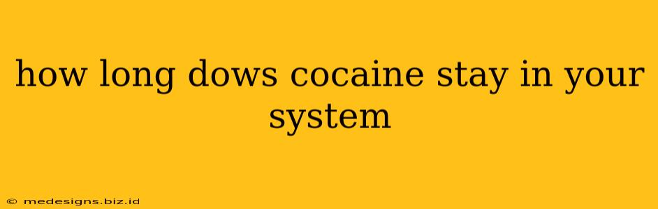 how long dows cocaine stay in your system