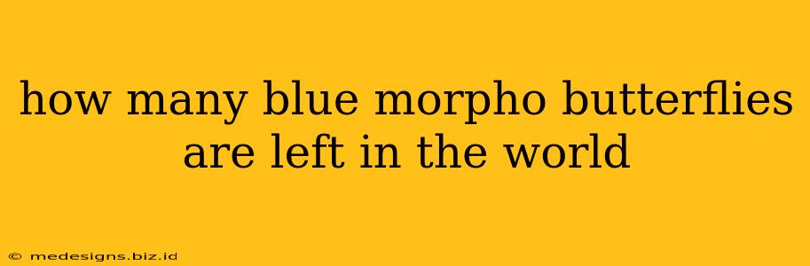 how many blue morpho butterflies are left in the world