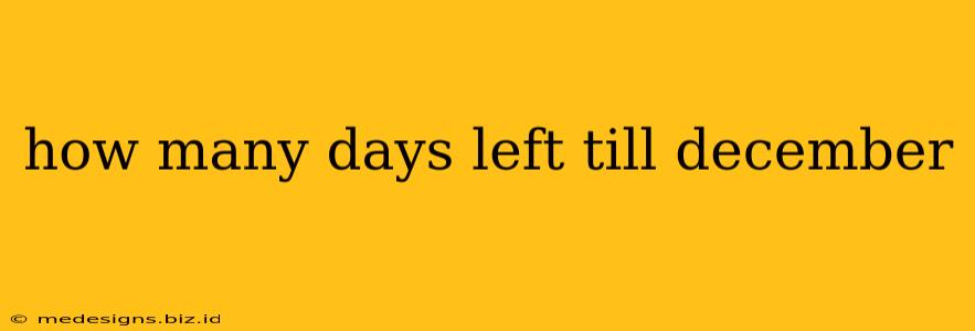 how many days left till december