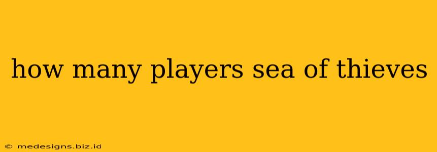 how many players sea of thieves