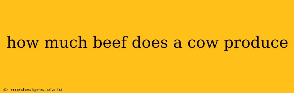 how much beef does a cow produce