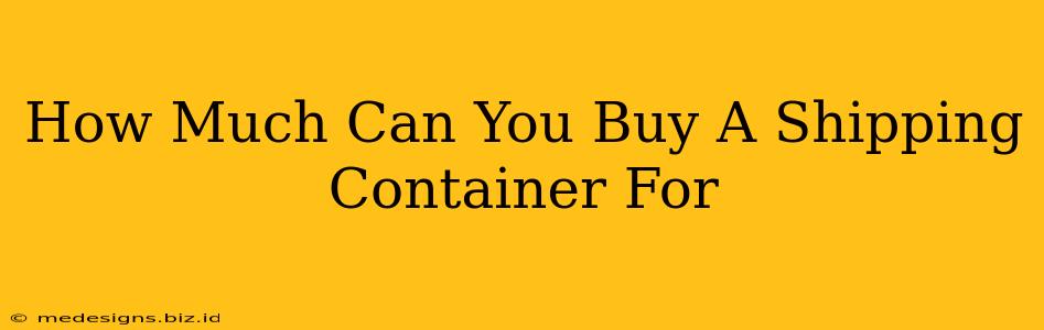 How Much Can You Buy A Shipping Container For