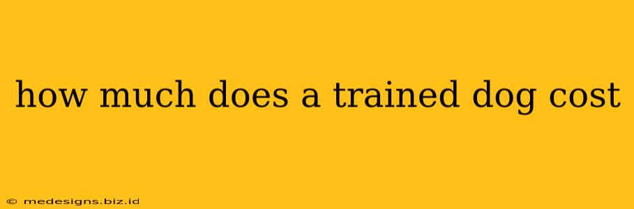 how much does a trained dog cost