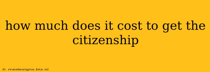 how much does it cost to get the citizenship