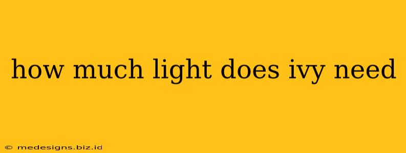 how much light does ivy need
