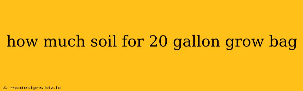 how much soil for 20 gallon grow bag