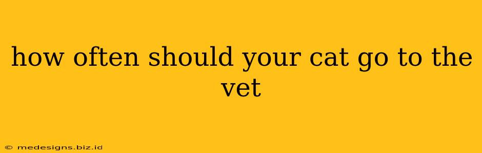 how often should your cat go to the vet