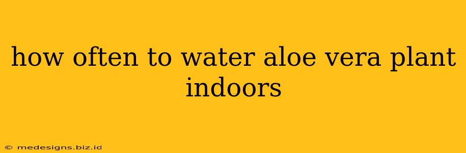 how often to water aloe vera plant indoors