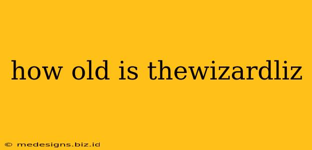 how old is thewizardliz