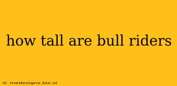 how tall are bull riders