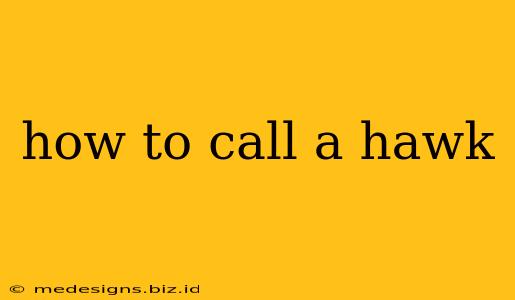 how to call a hawk
