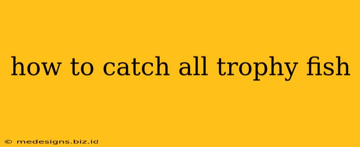 how to catch all trophy fish