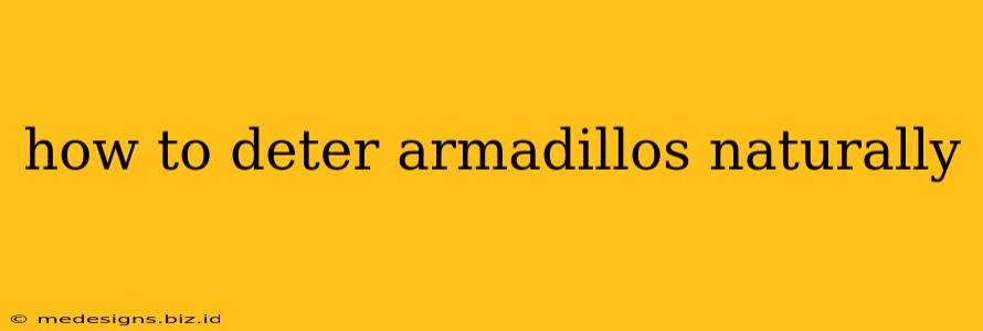 how to deter armadillos naturally