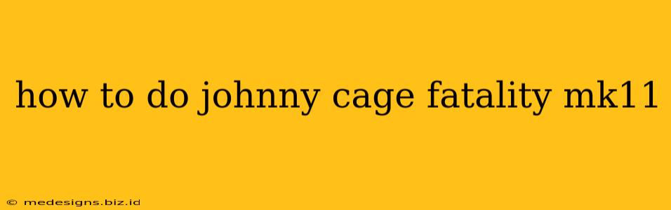 how to do johnny cage fatality mk11
