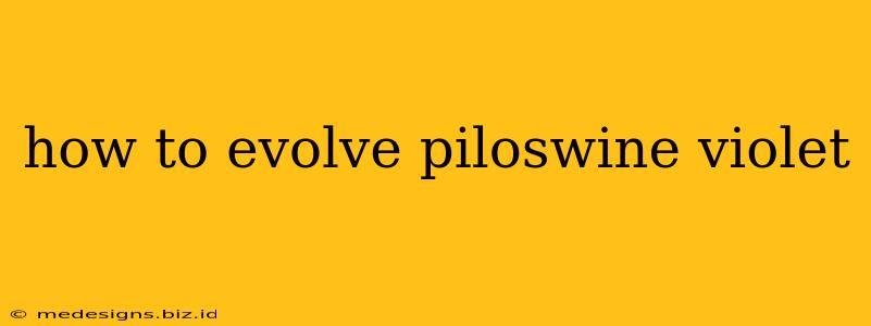 how to evolve piloswine violet