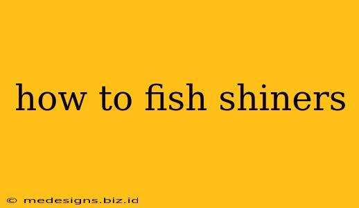 how to fish shiners