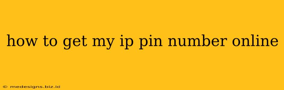 how to get my ip pin number online