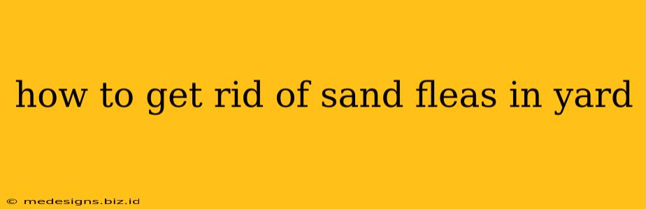 how to get rid of sand fleas in yard