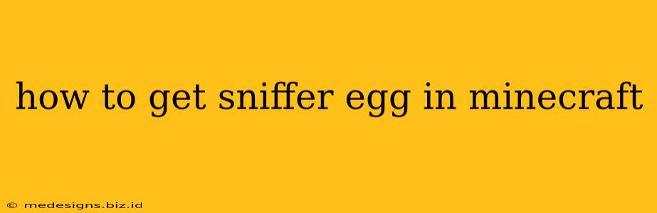 how to get sniffer egg in minecraft