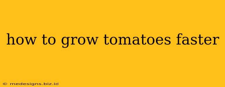 how to grow tomatoes faster