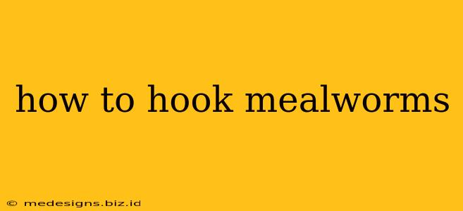 how to hook mealworms