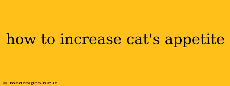 how to increase cat's appetite