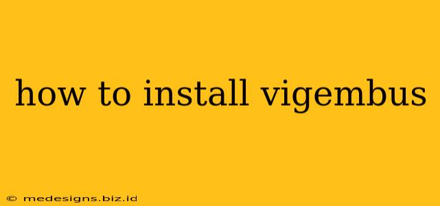 how to install vigembus
