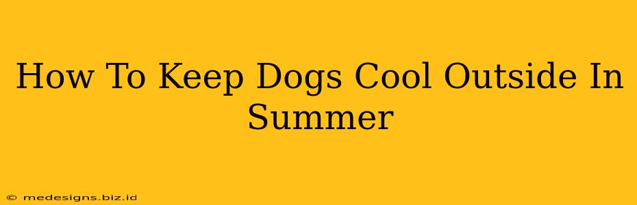 How To Keep Dogs Cool Outside In Summer