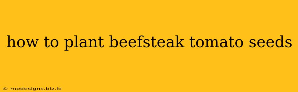 how to plant beefsteak tomato seeds