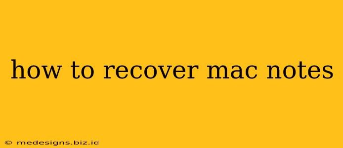how to recover mac notes