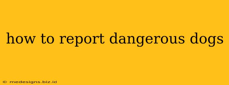how to report dangerous dogs