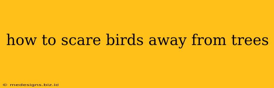 how to scare birds away from trees