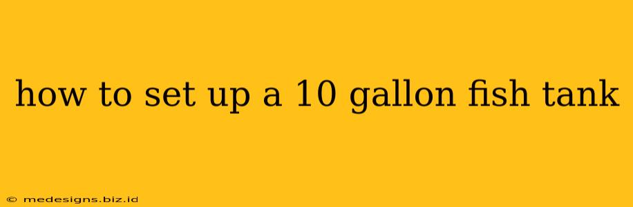 how to set up a 10 gallon fish tank
