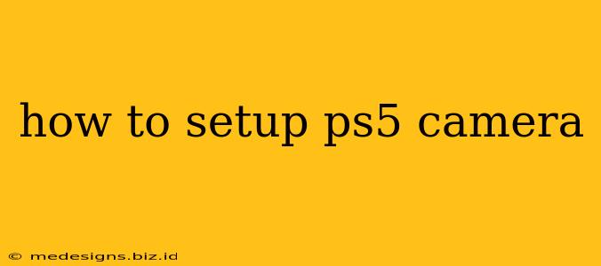 how to setup ps5 camera