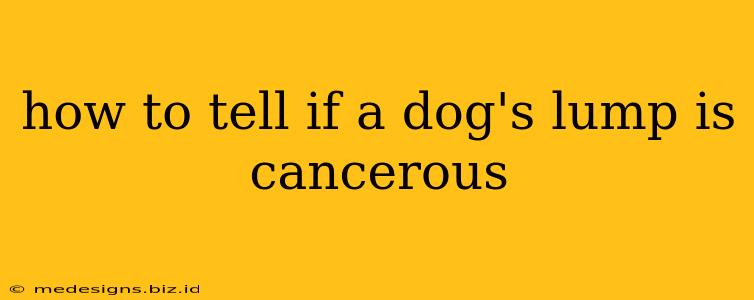 how to tell if a dog's lump is cancerous