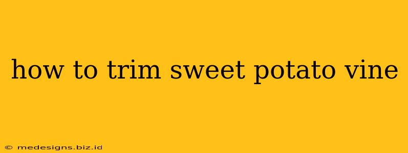 how to trim sweet potato vine