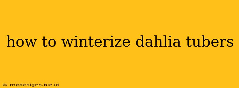 how to winterize dahlia tubers