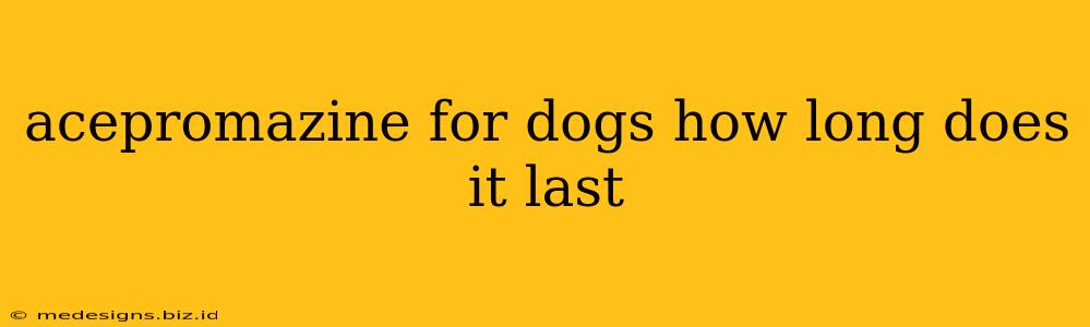 acepromazine for dogs how long does it last