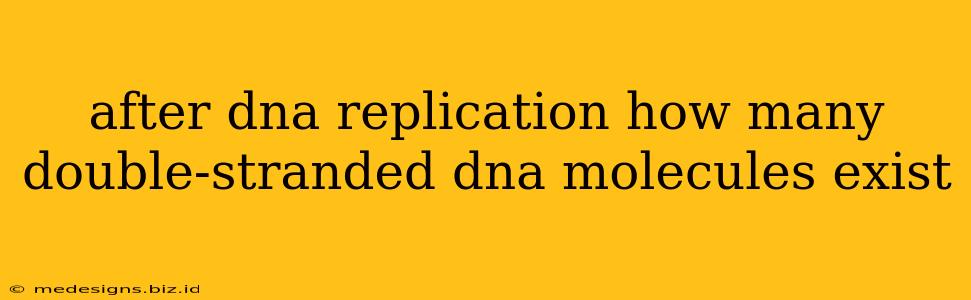 after dna replication how many double-stranded dna molecules exist