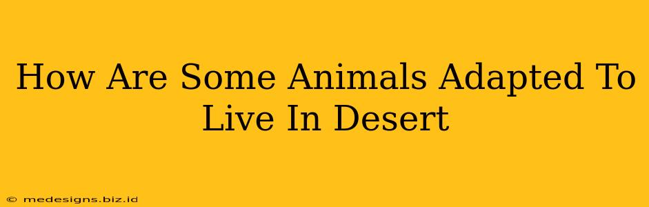 How Are Some Animals Adapted To Live In Desert