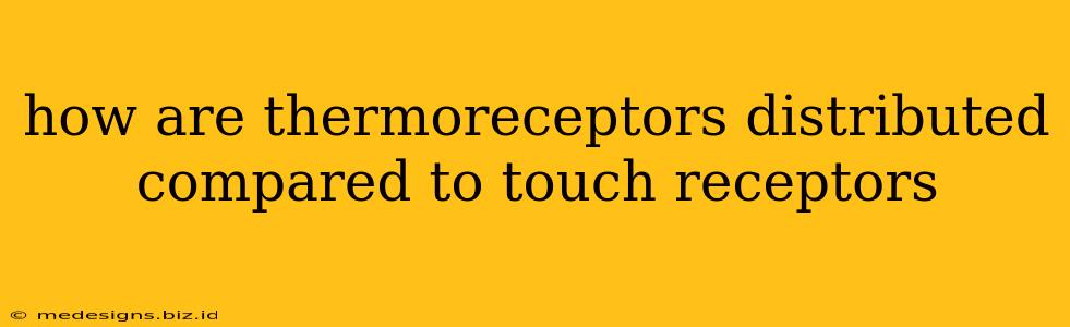 how are thermoreceptors distributed compared to touch receptors
