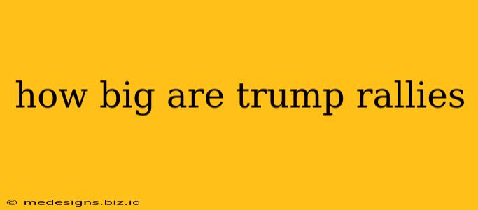 how big are trump rallies