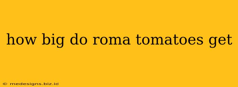 how big do roma tomatoes get
