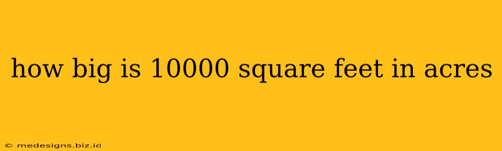 how big is 10000 square feet in acres