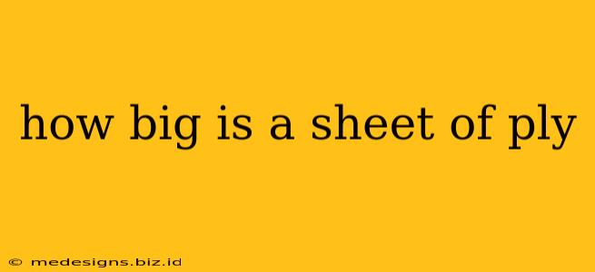 how big is a sheet of ply