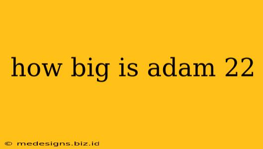 how big is adam 22
