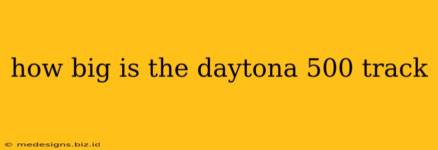 how big is the daytona 500 track