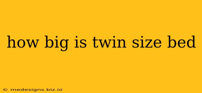 how big is twin size bed