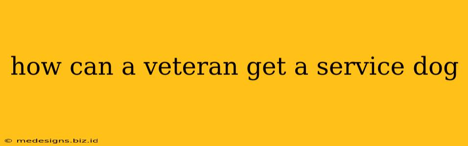 how can a veteran get a service dog